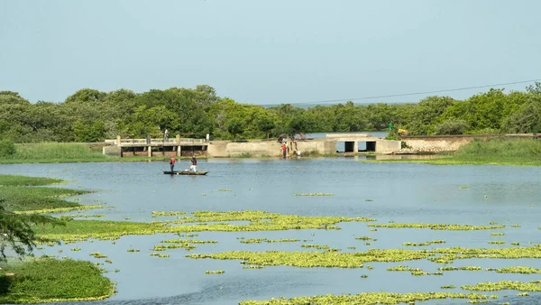 stock image Natural landscape with a view of the totumo swamp. Colombia.