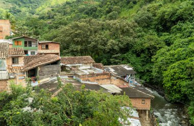 Barroso nehri şelalesi ve ağaçlar. Salgar, Antioquia, Kolombiya.