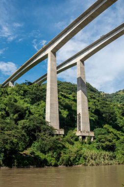 Antioquia 'nın güneybatısında mavi gökyüzü ve ağaçlarla dolu bir köprü.. 