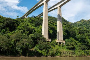 Antioquia 'nın güneybatısında mavi gökyüzü ve ağaçlarla dolu bir köprü.. 