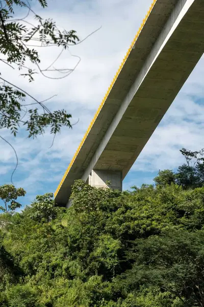 Puente Suroeste Antioquia Con Cielo Azul Árboles — Foto de Stock
