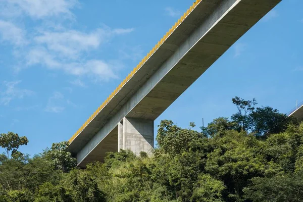 Antioquia Nın Güneybatısında Mavi Gökyüzü Ağaçlarla Dolu Bir Köprü — Stok fotoğraf