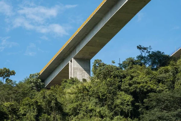 Antioquia Nın Güneybatısında Mavi Gökyüzü Ağaçlarla Dolu Bir Köprü — Stok fotoğraf
