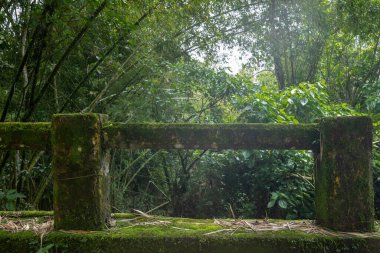 Nehrin üzerinde fazla gelişmiş bir köprü. Tamesis, Antioquia, Kolombiya.