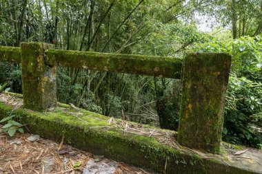 Nehrin üzerinde fazla gelişmiş bir köprü. Tamesis, Antioquia, Kolombiya.