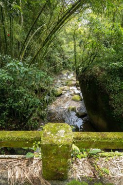 Nehrin üzerinde fazla gelişmiş bir köprü. Tamesis, Antioquia, Kolombiya.
