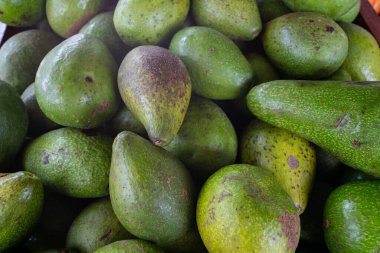 Satmak için bir yığın lezzetli avokado..