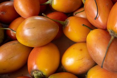 Tamarillo ya da domates ağacı, Kolombiya 'da yetişen geleneksel meyve.