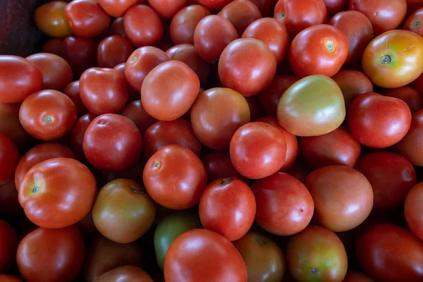 시장에 빨간색 토마토 통조림 — 스톡 사진