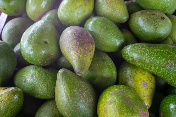 기위하여 맛있는 아보카도 통조림 — 스톡 사진