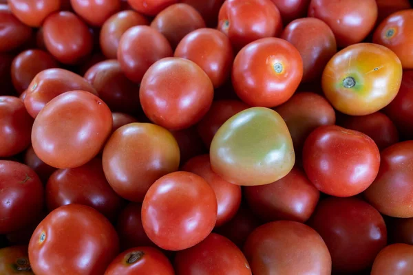 시장에 빨간색 토마토 통조림 — 스톡 사진
