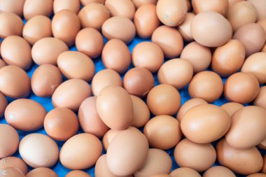 Mavi arkaplanda yumurtalar yakın plan.