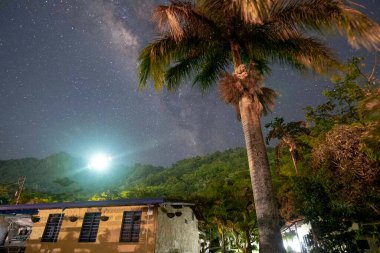 Samanyolu ve ağaçlarla doğal manzara. Venedik, Antioquia, Kolombiya.