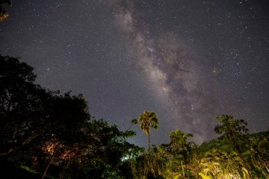 Samanyolu ve ağaçlarla doğal manzara. Venedik, Antioquia, Kolombiya.