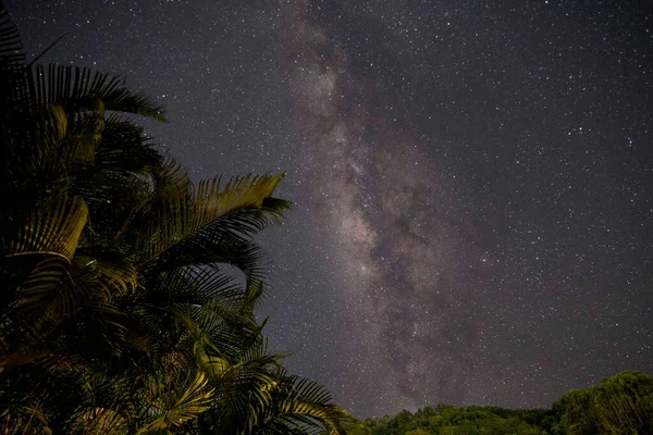 Natural Landscape Milky Way Trees Venecia Antioquia Colombia — Stock Photo, Image