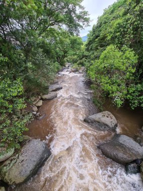 Mavi gökyüzü ile Cartama nehrinin manzarası. Nehirdeki taşlar. Tamesis, Antioquia, Kolombiya. 