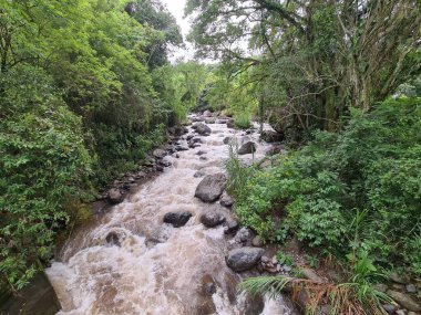 Mavi gökyüzü ile Cartama nehrinin manzarası. Nehirdeki taşlar. Tamesis, Antioquia, Kolombiya. 