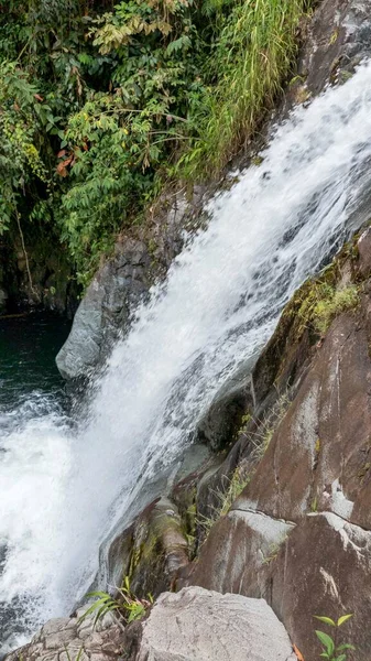 森の中の自然滝 コロンビア — ストック写真