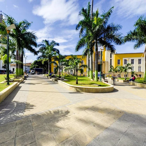 Букараманга Сантандер Колумбія Липня 2020 Cityscape Будівлями Пальмами Місті Букараманга — стокове фото