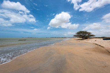 Baha Portete 'deki sahil manzarası doğal ulusal park. Guajira, Kolombiya.