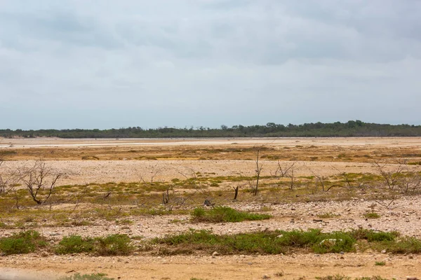 Panorama Landskap Baha Portete Naturliga Nationalpark Guajira Colombia — Stockfoto
