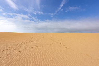 Punta Gallinas, Guajira, Kolombiya. 3 Nisan 2020: Taroa kumulları.