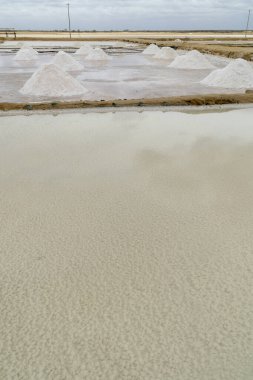 Guajira, Kolombiya Manaure Manzarası.