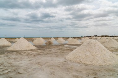 Guajira, Kolombiya Manaure Manzarası.