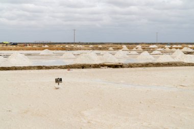 Guajira, Kolombiya Manaure Manzarası.