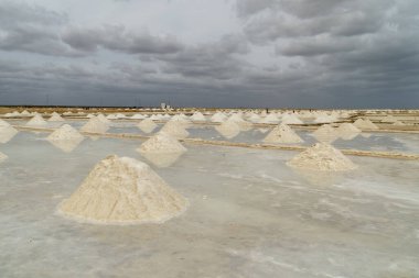 Guajira, Kolombiya Manaure Manzarası.