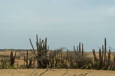 Cabo de la Vela sahilinde sahil. Gökyüzü ve tepe. Guajira, Kolombiya. 