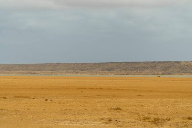 Cabo de la Vela sahilinde sahil. Gökyüzü ve tepe. Guajira, Kolombiya. 