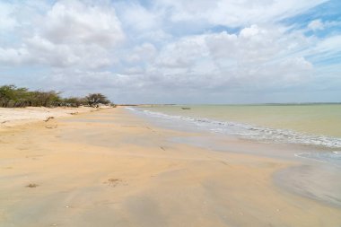 Güneşli bir günde panoramik manzara, Cabo de la Vela plajı. Guajira, Kolombiya