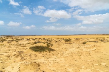 Güneşli bir günde panoramik manzara, Cabo de la Vela plajı. Guajira, Kolombiya