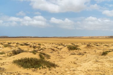 Güneşli bir günde panoramik manzara, Cabo de la Vela plajı. Guajira, Kolombiya.