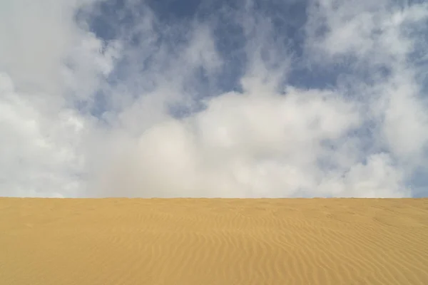 타로아 사막의 모래와 하늘에 식물을 심는다 콜롬비아 — 스톡 사진
