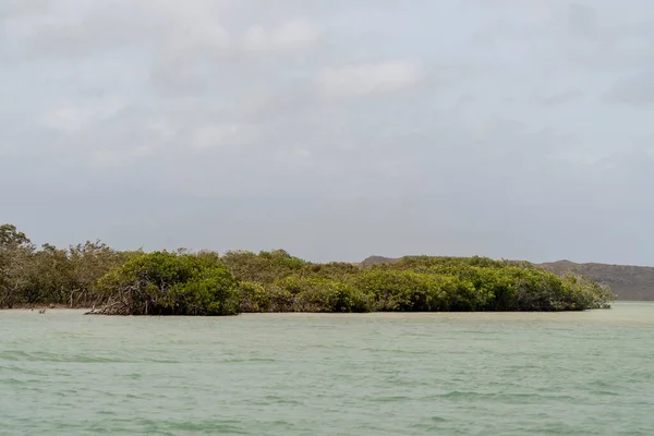 Krajobraz Przyrody Morze Niebo Drzewa Punta Gallinas Guajira Kolumbia — Zdjęcie stockowe