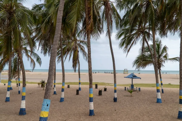 Strand Van Malecon Palmbomen Guajira Colombië — Stockfoto