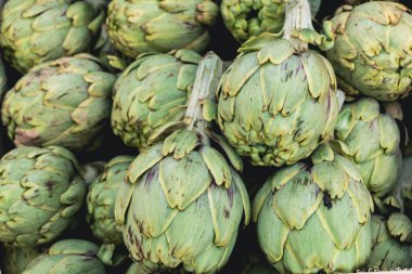 Background with green artichokes in the foreground. Segovia, Spain.