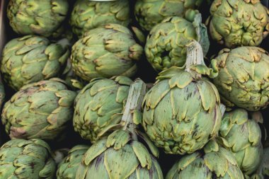 Background with green artichokes in the foreground. Segovia, Spain.