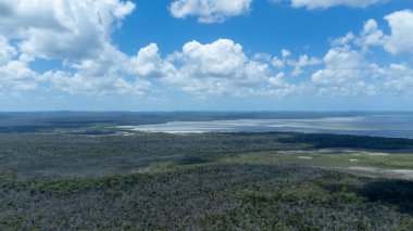 Nature landscape with ocean view and blue sky in Queensland, Australia.
