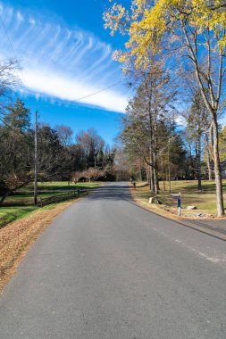 Charlotte, Kuzey Carolina, ABD 'de mavi gökyüzü ve sonbahar renkli ağaçlara sahip duvar kağıtları