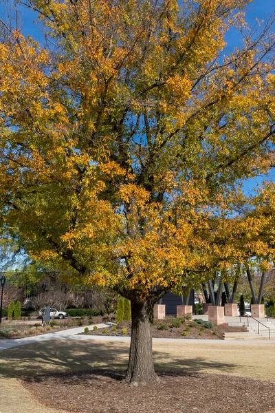 Tapeten Mit Blauem Himmel Und Herbst Farbigen Bäumen Charlotte North — Stockfoto