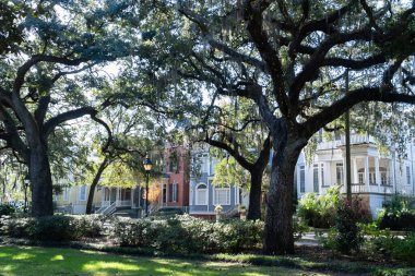 Savannah, Georgia, Usa. 2 Aralık 2022: Koloni evlerinin mimarisi ve mavi gökyüzü ile renkli cepheler.