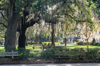 Güzel ağaçlarla dolu Forsyth Park. Savannah, Georgia, ABD. 