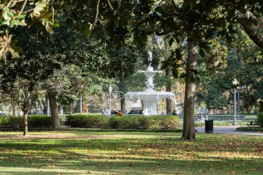 Güzel ağaçlarla dolu Forsyth Park. Savannah, Georgia, ABD. 