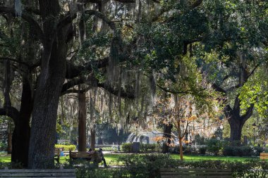 Güzel ağaçlarla dolu Forsyth Park. Savannah, Georgia, ABD. 