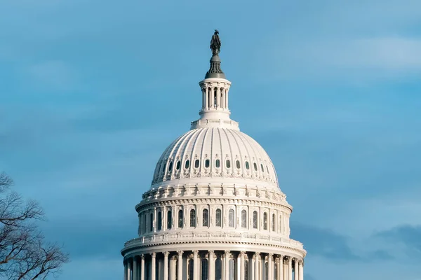 stock image Washington D. C.  United States. November 29, 2022: United States Capitol and beautiful blue sky.