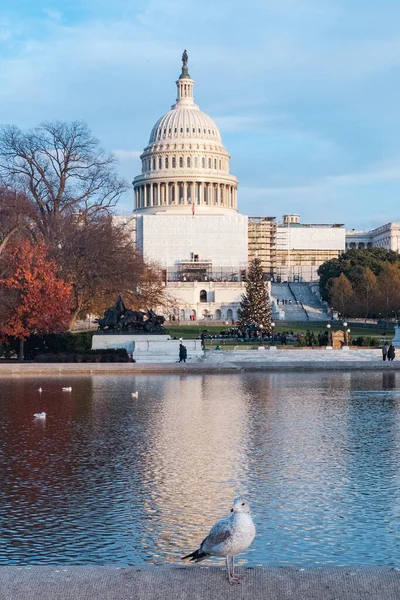 ワシントンD アメリカ合衆国 2022年11月29日 アメリカ合衆国議会議事堂と美しい青空 — ストック写真