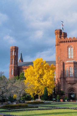 Washington D.C. Birleşik Devletleri. 30 Kasım 2022: Smithsonian Enstitüsü (Smithsonian Kalesi) ve güz ağaçları.
